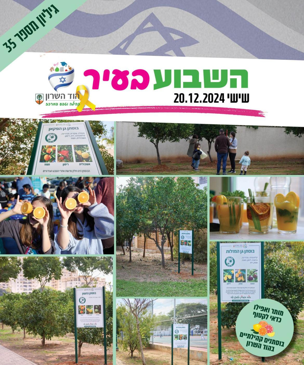 השבוע בעיר 20.12.24
