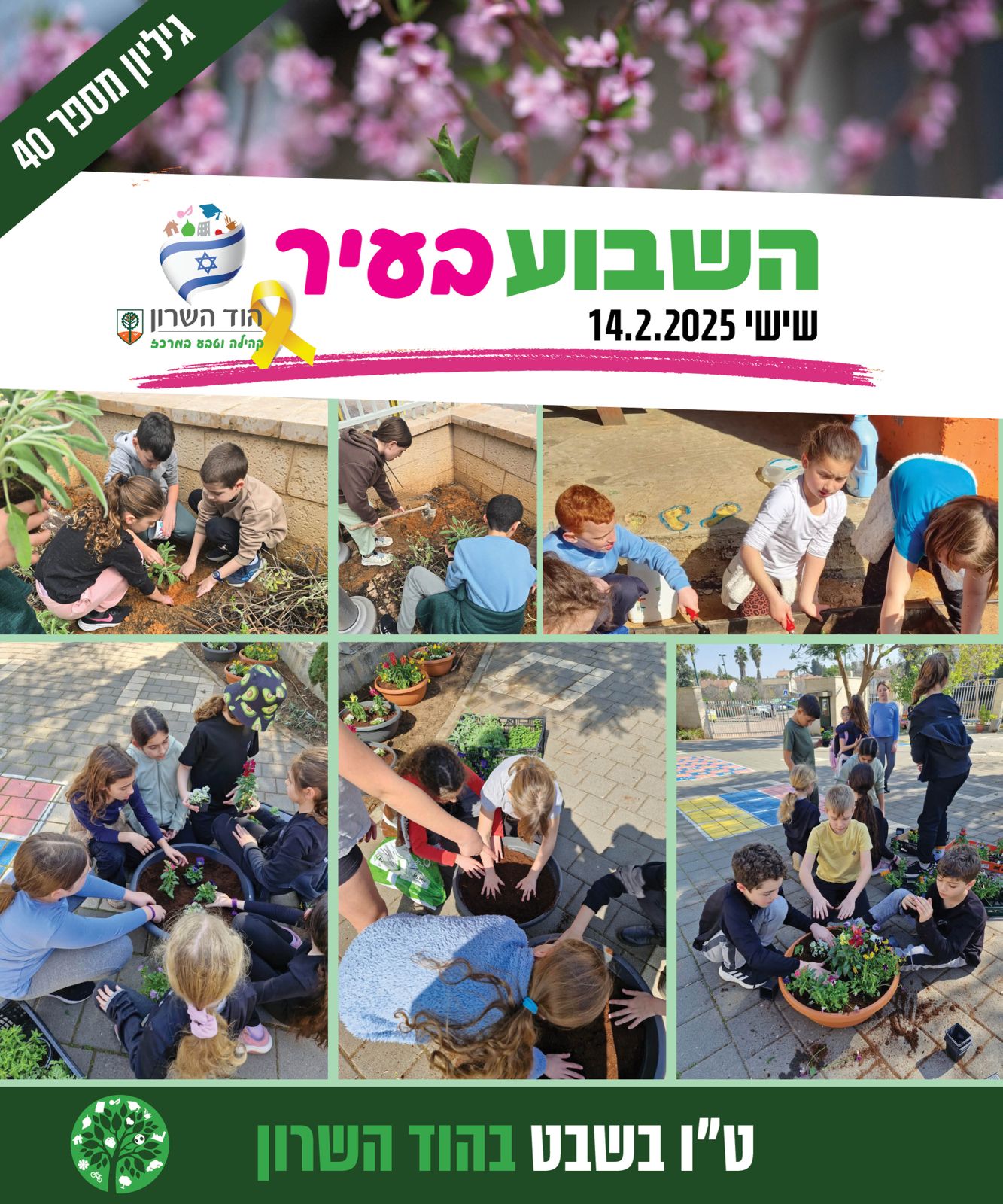 השבוע בעיר 