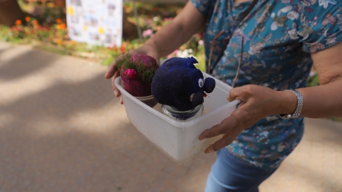 יריד איכרים (31).JPG