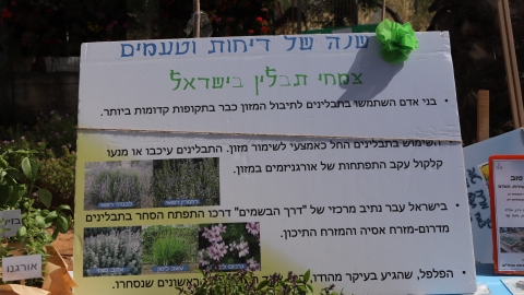 יריד איכרים (14).JPG