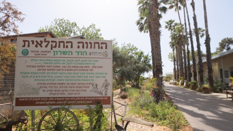 יריד איכרים (28).JPG