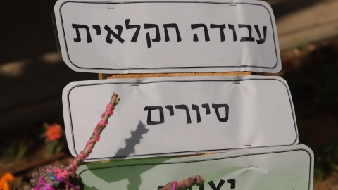 יריד איכרים (19).JPG
