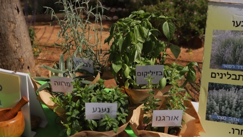 יריד איכרים (15).JPG