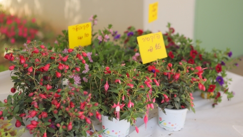 יריד איכרים (39).JPG