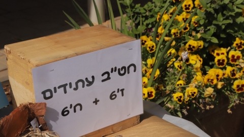 יריד איכרים (45).JPG