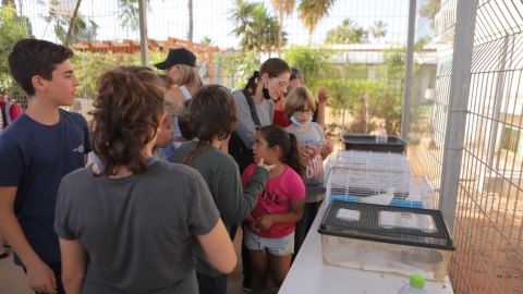 יריד איכרים (120).JPG