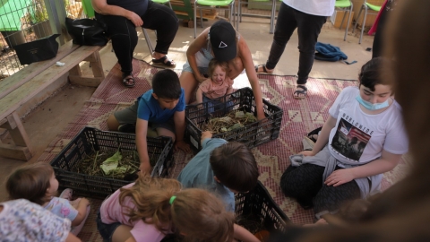 יריד איכרים (123).JPG