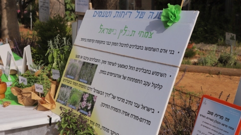 יריד איכרים (174).JPG