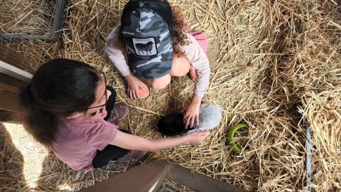 בתי ספר מארחים (4).jpg