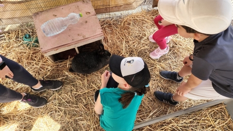 בתי ספר מארחים (5).jpg