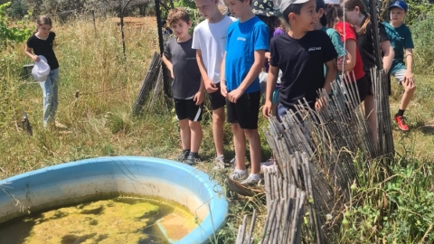 בתי ספר מארחים (32).jpg