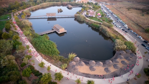 DJI_0529.jpg