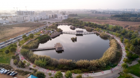 DJI_0544.jpg