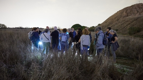 DOV_5630.jpg