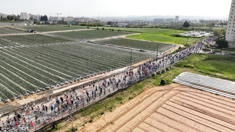 DJI_0781.JPG