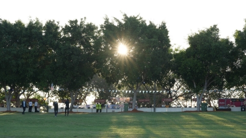 A6203071.JPG