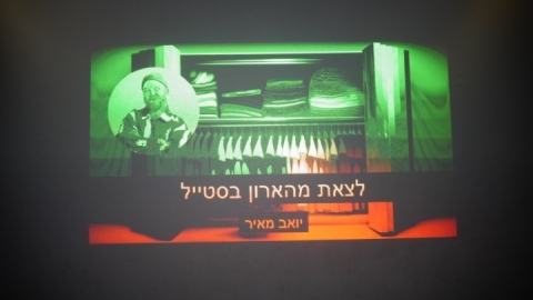 סטיילינג גאווה (25).JPG