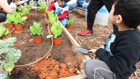 גינה קהילתית ברחוב חיים הרצוג (40).JPG