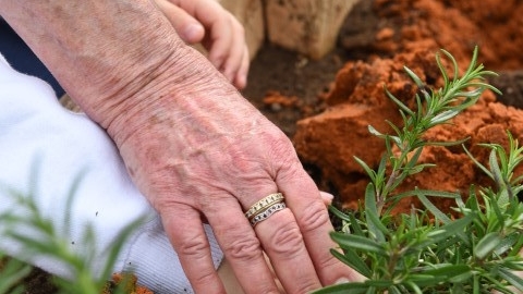 גינה קהילתית ברחוב חיים הרצוג (44).JPG
