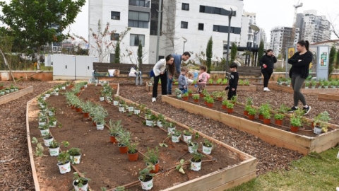 גינה קהילתית ברחוב חיים הרצוג (31).JPG