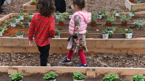 גינה קהילתית ברחוב חיים הרצוג (9).JPG