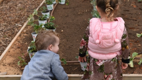 גינה קהילתית ברחוב חיים הרצוג (29).JPG