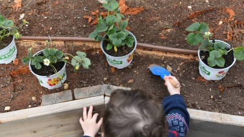 גינה קהילתית ברחוב חיים הרצוג (13).JPG