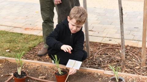 גינה קהילתית ברחוב חיים הרצוג (32).JPG