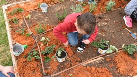 גינה קהילתית ברחוב חיים הרצוג (52).JPG