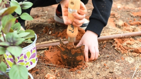 גינה קהילתית ברחוב חיים הרצוג (5).JPG