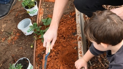 גינה קהילתית ברחוב חיים הרצוג (24).JPG