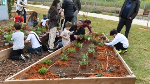 גינה קהילתית ברחוב חיים הרצוג (48).JPG