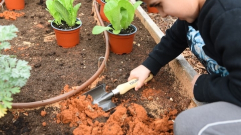 גינה קהילתית ברחוב חיים הרצוג (19).JPG