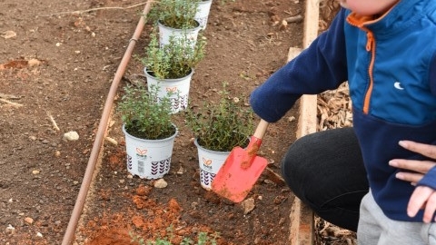גינה קהילתית ברחוב חיים הרצוג (47).JPG