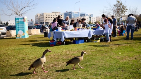 הוד והדר ינואר 2024 (9).jpg